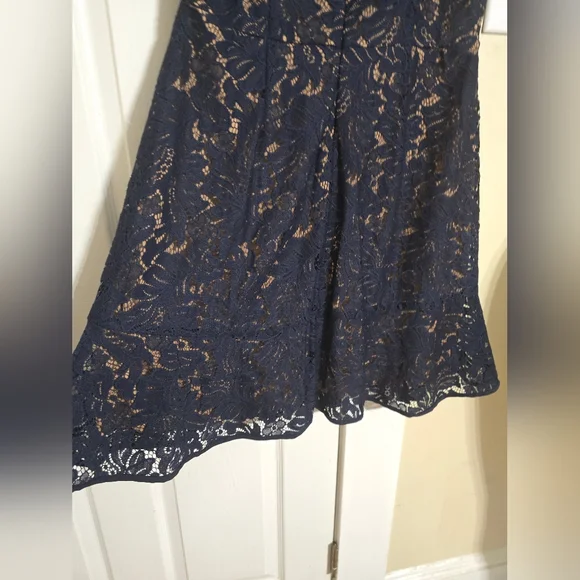Banana Republic Midnight Blue Lace Dress - Picture 6 of 13